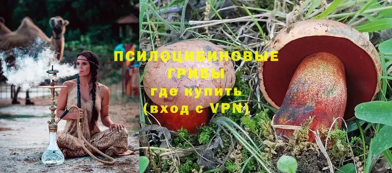 Псилоцибиновые грибы Magic Shrooms  Болхов 